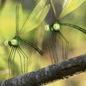 ARTE : « Les parcs naturels… En Minuscule» du 11 au 13 février 2019