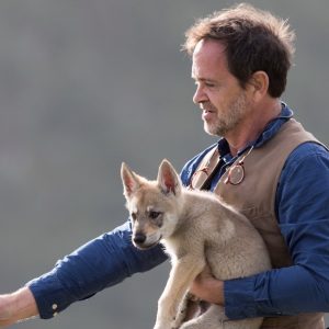 F. FOUGEA (Boréales) : ««Le plus bel ami de l’homme» (F2) a nécessité 2 ans de recherches et d’écriture»
