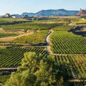 MASMOVIL signe un accord avec Eurobroadband Infrastructure