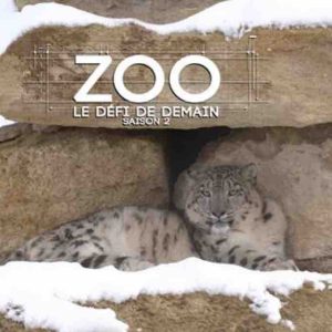 RMC Découverte : la série documentaire «Zoo, le défi de demain», saison 2 dès le 23 décembre