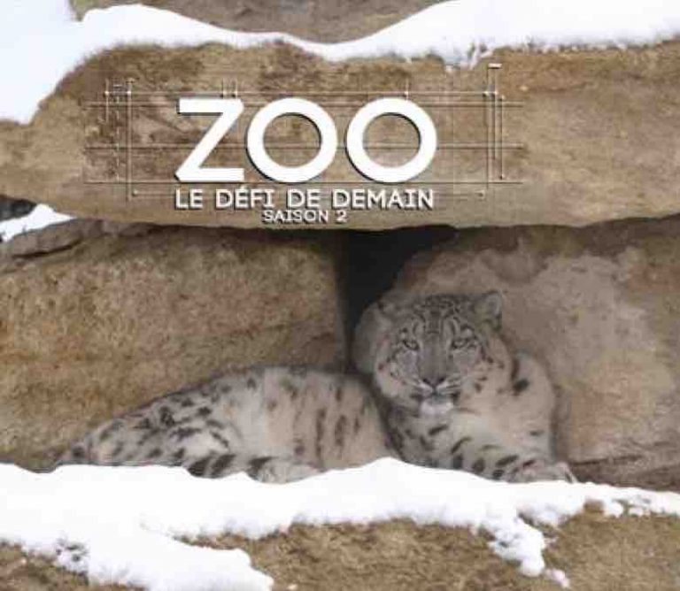 RMC Découverte : la série documentaire «Zoo, le défi de demain», saison 2 dès le 23 décembre