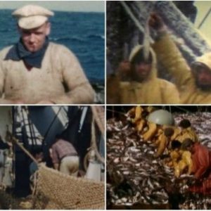 France 3 : 1.478.000 curieux devant «L’odyssée des forçats de la mer» lundi en Prime
