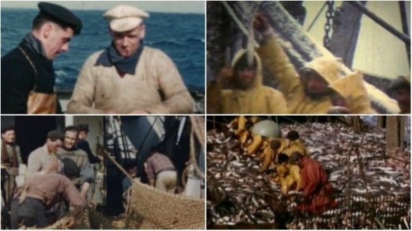 France 3 : 1.478.000 curieux devant «L’odyssée des forçats de la mer» lundi en Prime