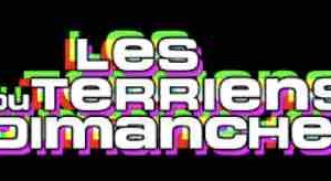 C8 : record d’audience historique pour «Les Terriens du dimanche»