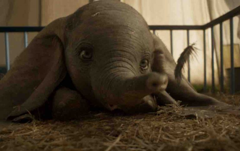 Espoir En Tête et Disney France s’associent au profit de la recherche sur le cerveau