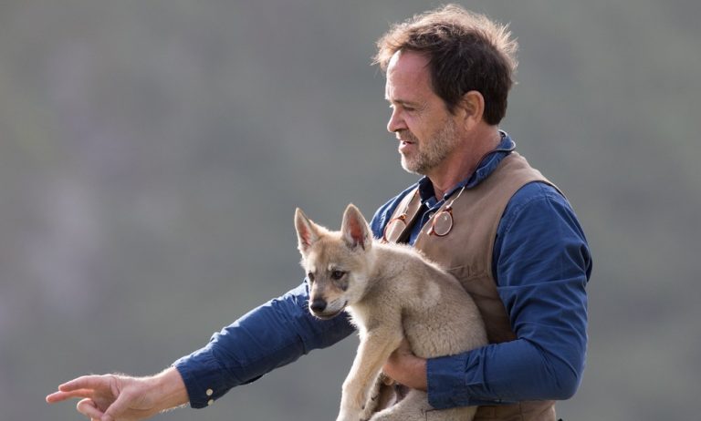 F. FOUGEA (Boréales) : «Nous sommes l’un des rares producteurs en Europe à être coproduit par la BBC»