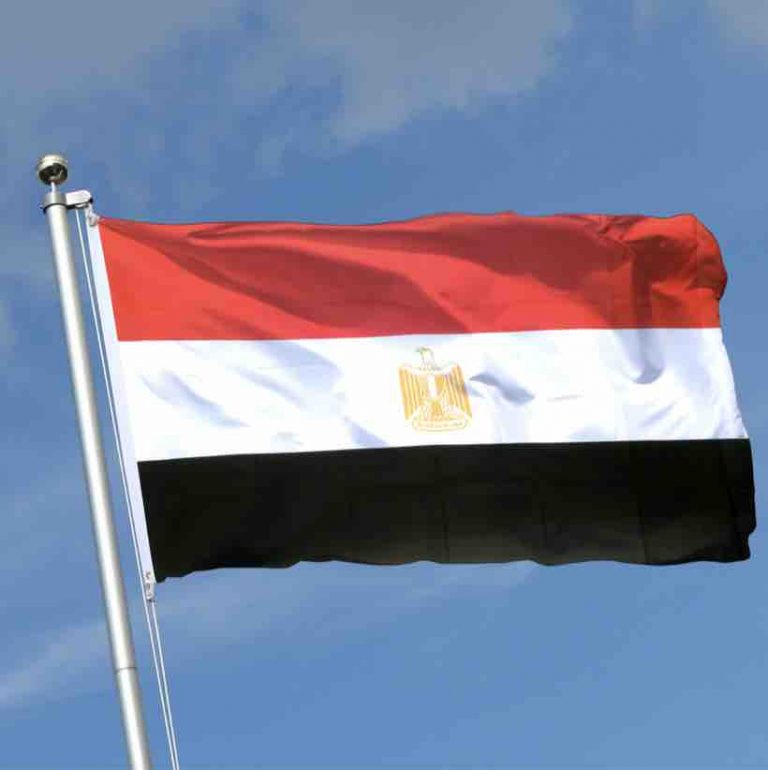 Deux célèbres acteurs égyptiens interdits d’exercer leur art en Egypte après avoir critiqué Sissi