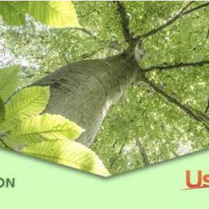 Ushuaïa TV s’engage pour la Journée Internationale des Forêts