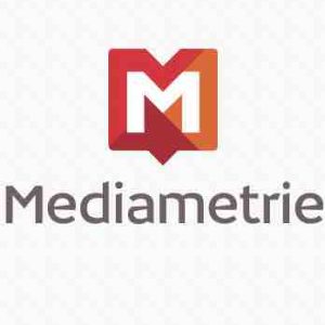 Data Profiling, la nouvelle solution de Médiamétrie pour un ciblage publicitaire optimisé des campagnes TV et Internet
