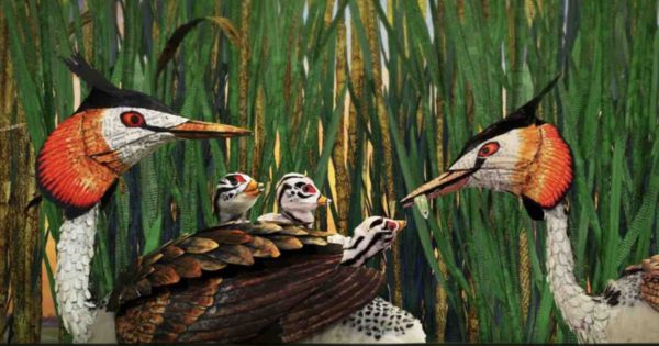 France 5 : la série d’animation naturaliste «Bonjour le monde !» dès le 18 mai