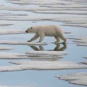 National Geographic: la nouvelle série documentaire «Planète Hostile» dès ce dimanche 28 avril