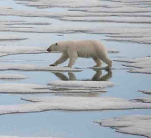 National Geographic: la nouvelle série documentaire «Planète Hostile» dès ce dimanche 28 avril