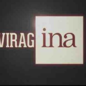 «ViragINA», la série de Aude GG dévoilée sur YouTube