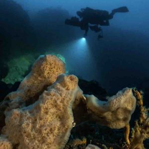 ARTE : «Planète Méditerranée», la nouvelle expédition de Laurent Ballesta en tournage du 1er au 28 juillet 2019