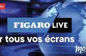 Figaro Live disponible sur Molotov