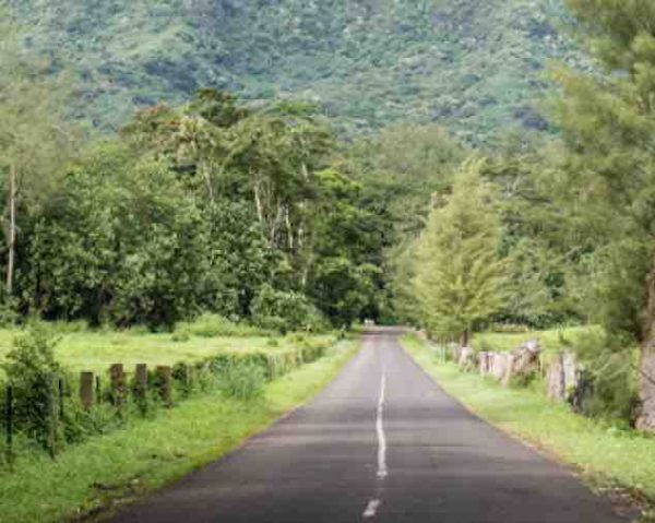 France Télévisions : la série «TAHITI PK 0» en tournage du 5 au 23 juin à Tahiti
