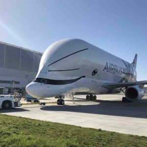 National Geographic annonce une nouvelle production locale, «Megastructures: BelugaXL»