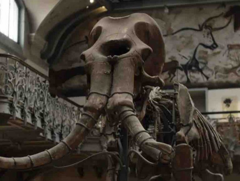 4 prix pour ARTE au Festival de la Fiction TV de La Rochelle 2019