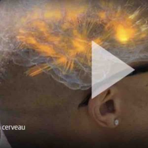ARTE : «Bien nourrir son cerveau» samedi 21 septembre 2019 à 22h20