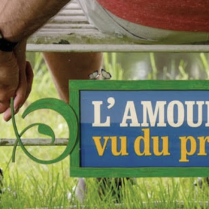 M6 : «L’amour vu du pré» en légère baisse lundi en Night
