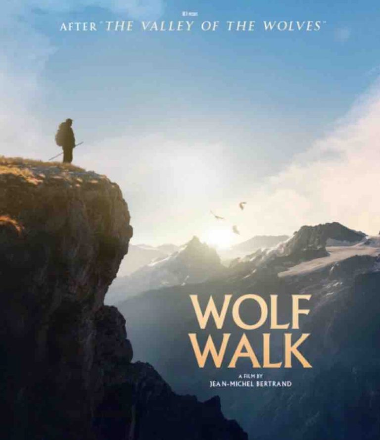 MC4 : succès dans les festivals pour le long métrage «Marche avec les loups»