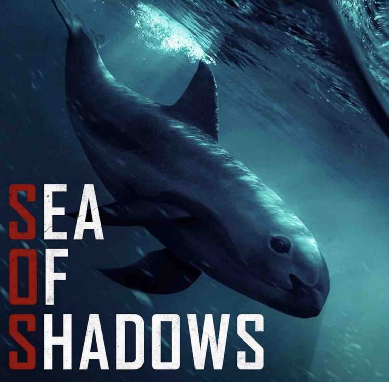 National Geographic : le film événement «Sea Of Shadows» dimanche 24 novembre à 20h40
