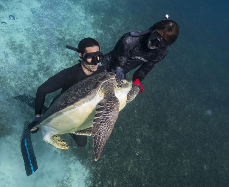 France 2 : Sidney Régis, invité de «L’émission pour la Terre» le 15 octobre