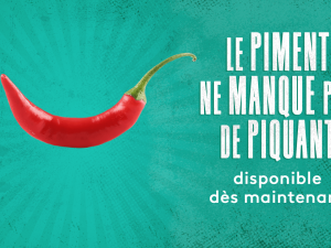 France 5 : leader du Prime TNT avec «Le piment ne manque pas de piquant»
