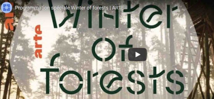 ARTE - programmation spéciale _Winter of Forests_, présentée par Yann Arthus-Bertrand du 12 au 25 janvier 2020