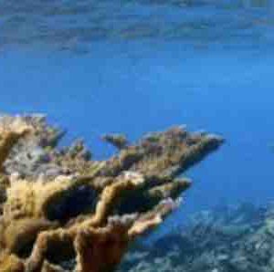ARTE/ MC4 : «Cuba, l’île verte – Le paradis en sursis» vendredi 13 décembre à 18h55