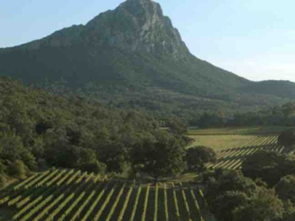 France 5 : «L’empire de la vigne» le 21 décembre