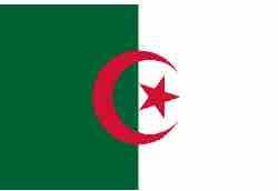 RFI : l’élection présidentielle en Algérie à l’honneur le 12 décembre