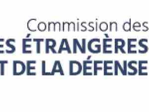 Sénat - Commission des affaires étrangères et de la défense : audition de Marie-Christine Saragosse, PDG de FMM