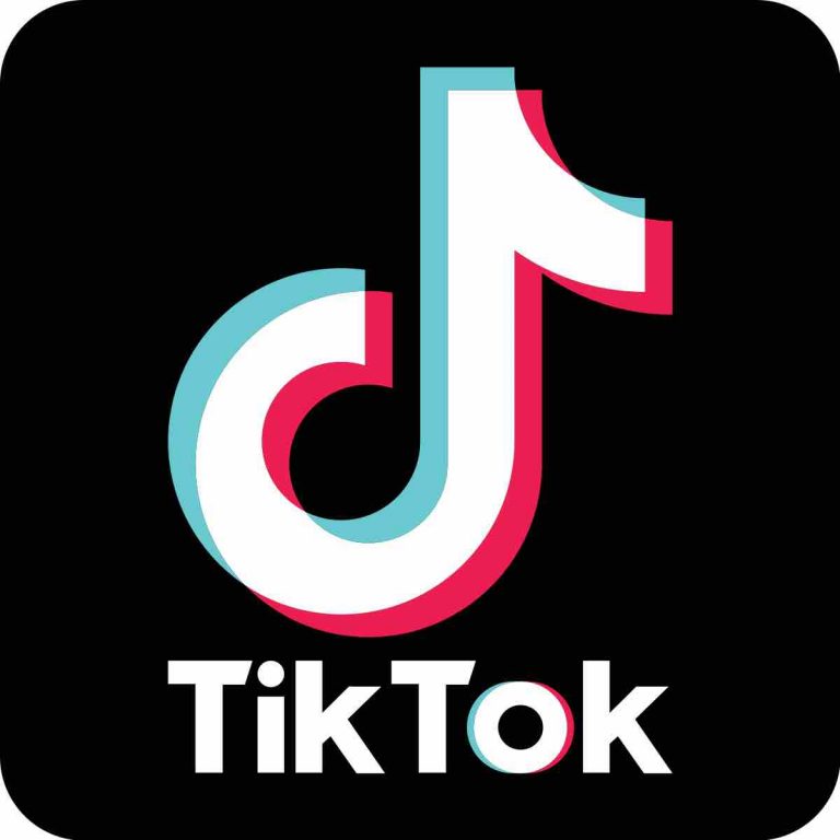 TikTok : application addictive et controversée très populaire chez les jeunes Indiens