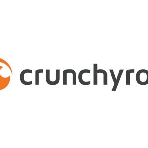 Crunchyroll - le Netflix japonais de l’animation - s’offre VIZ Media