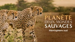 France 2 : 2.482.000 curieux devant le documentaire «Une planète, deux mondes sauvages» samedi