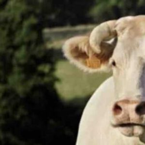 France Télévisions au cœur du monde paysan