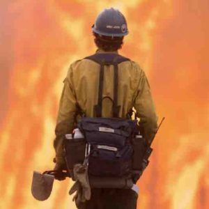 Terranoa : accord de pré-vente avec Odisea sur le film «Incendies géants»