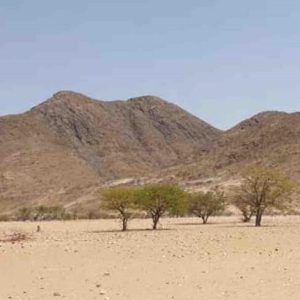 Voyage : «Exploration namibienne» le 12 avril