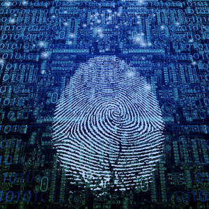 L’Etat espère mettre en service en 2020 son service d’identité sur internet Alicem
