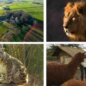 C8 : la série documentaire inédite «100 jours avec les animaux du Pal : le plus grand zoo d’Auvergne» vendredi 3 avril à 21h15
