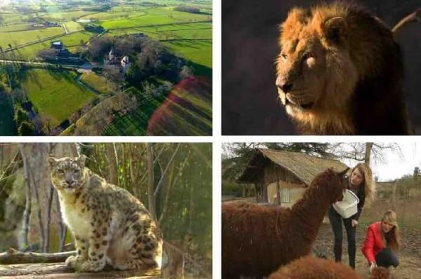 C8 : la série documentaire inédite «100 jours avec les animaux du Pal : le plus grand zoo d’Auvergne» vendredi 3 avril à 21h15