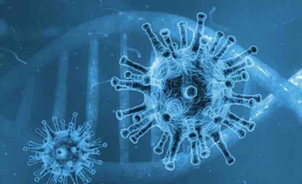 France TV : émissions spéciales «Ensemble contre le virus» en direct sur France 3 Hauts-de-France, Île-de-France et Grand-Est jusqu’au 20 mars
