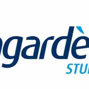 S&P Global Sustainability Yearbook 2023 : Lagardère récompensé pour la 5ème année consécutive