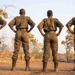 National Geographic Documentary Films: un nouveau court-métrage produit par James Cameron, «Akashinga»