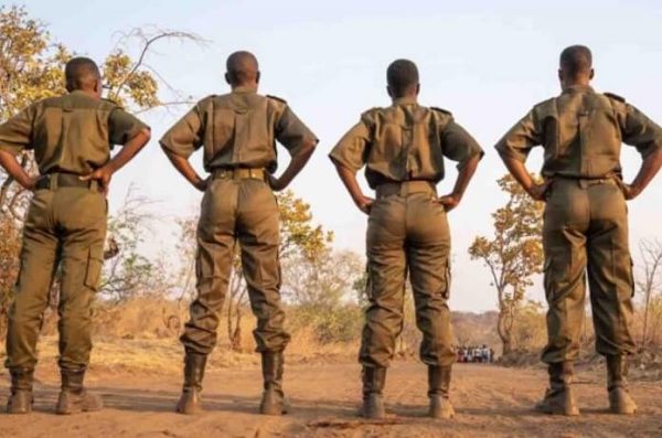 National Geographic Documentary Films: un nouveau court-métrage produit par James Cameron, «Akashinga»