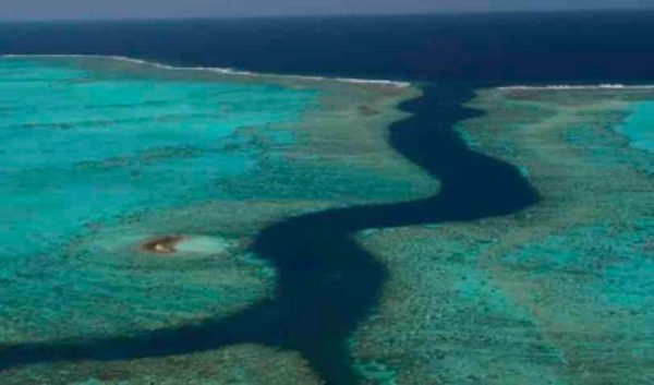 France Ô : «Nouvelle -Calédonie, l’île sauvage» dimanche 14 juin à 20h55