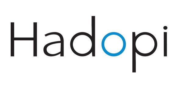 La Hadopi juge son fonctionnement validé par une décision du Conseil constitutionnel