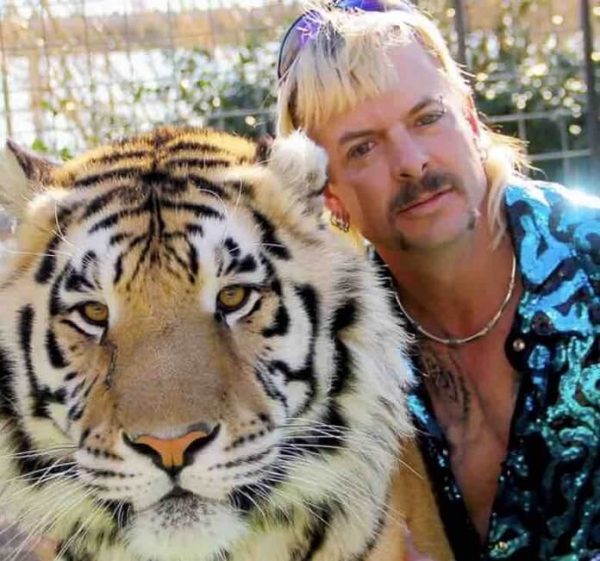 Nicolas Cage incarnera Joe Exotic dans une série télévisée consacrée à cet excentrique amoureux des grands fauves