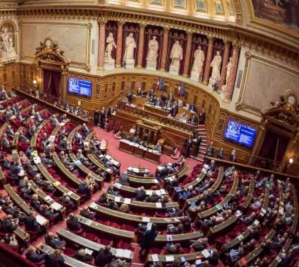 Sénat: mission d’information «sur la lutte contre l’illectronisme et pour l’inclusion numérique»